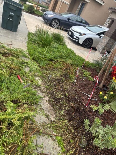 Gallery photos for Yard Cleanup Success in Your Neighborhood: Image #2