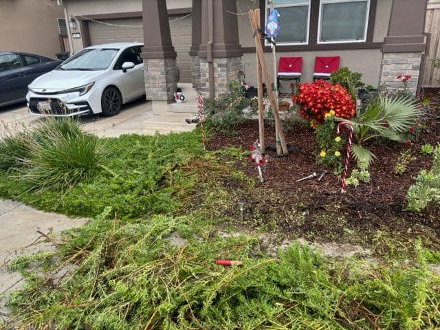 Gallery photos for Yard Cleanup Success in Your Neighborhood: Image #3