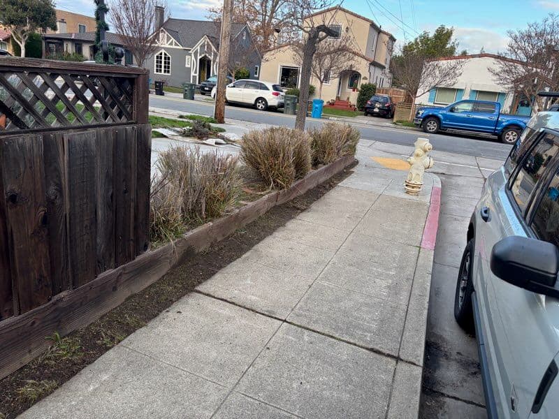 Project Neighborhood Sidewalk Transformation image