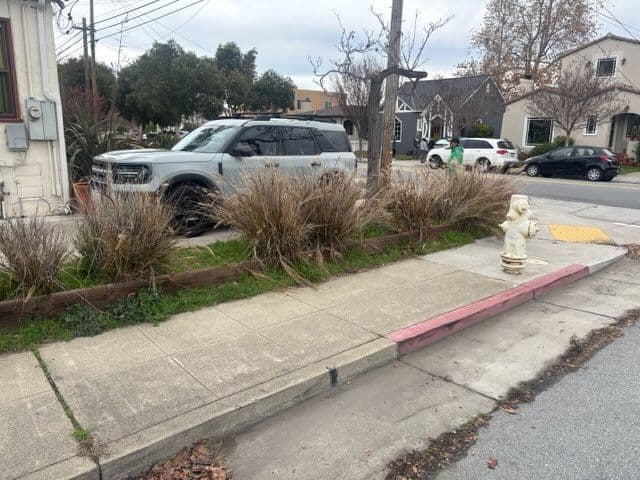 Gallery photos for Neighborhood Sidewalk Transformation: Image #3