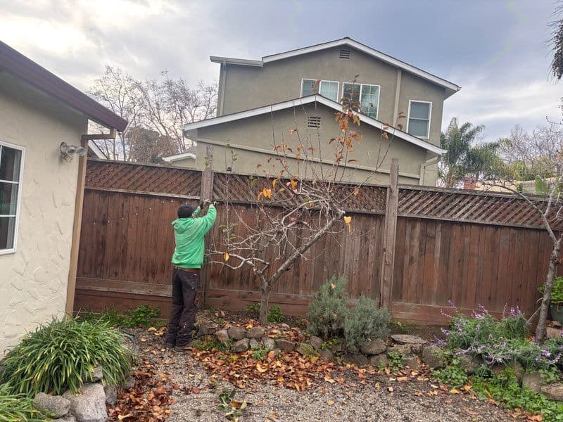 Project Backyard Makeover in Suburban Oasis image