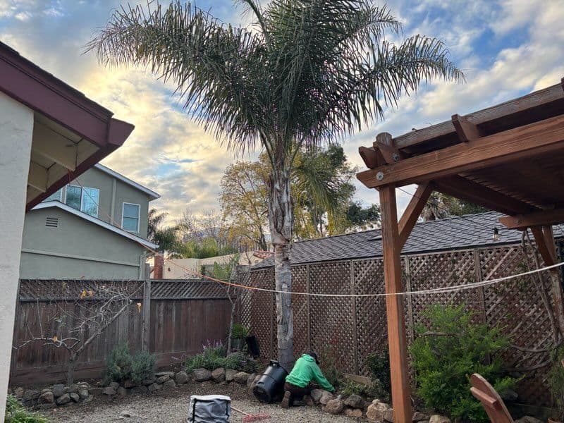 Gallery photos for Backyard Makeover in Suburban Oasis: Image #2