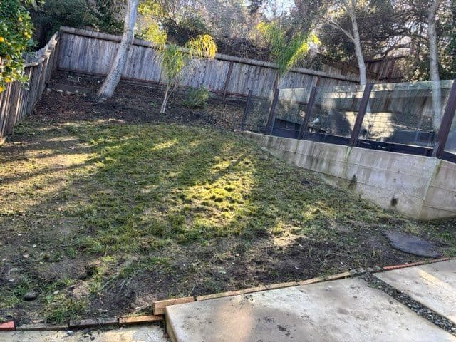 Gallery photos for Backyard Revival with Expert Lawn Care: Image #1