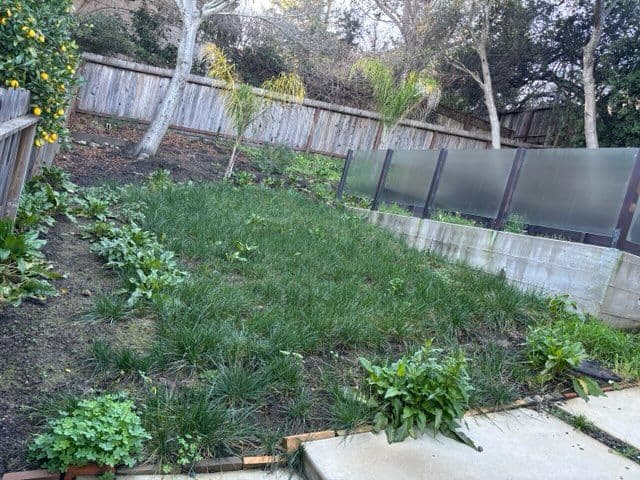 Gallery photos for Backyard Revival with Expert Lawn Care: Image #2