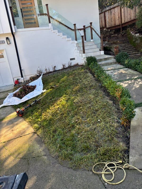 Front Yard Makeover with Stone Walkway and Greenery image