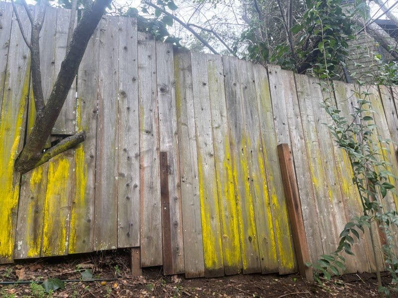 Gallery photos for Fenceline Facelift: Breathing New Life into Your Garden Boundary: Image #1