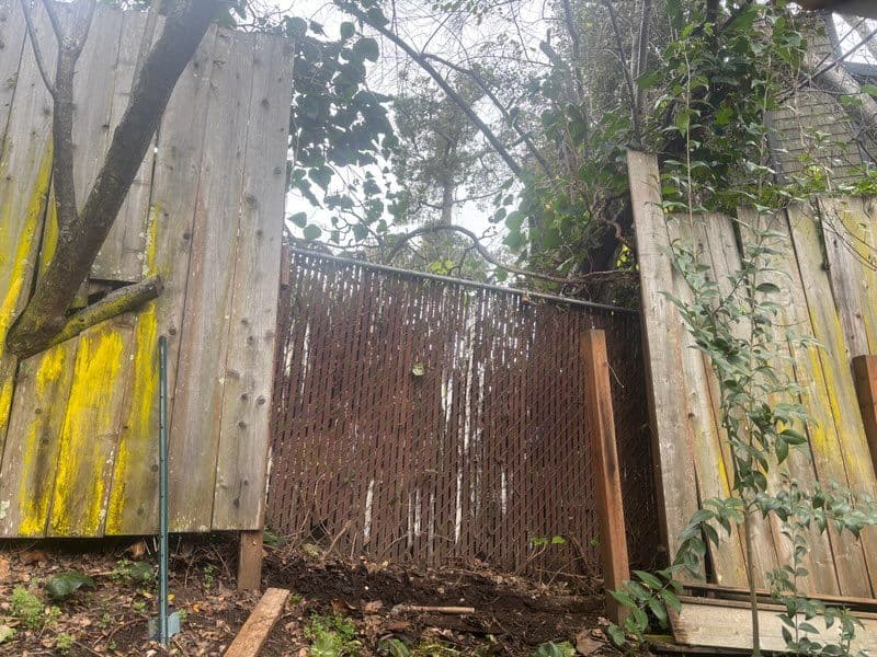 Gallery photos for Fenceline Facelift: Breathing New Life into Your Garden Boundary: Image #2