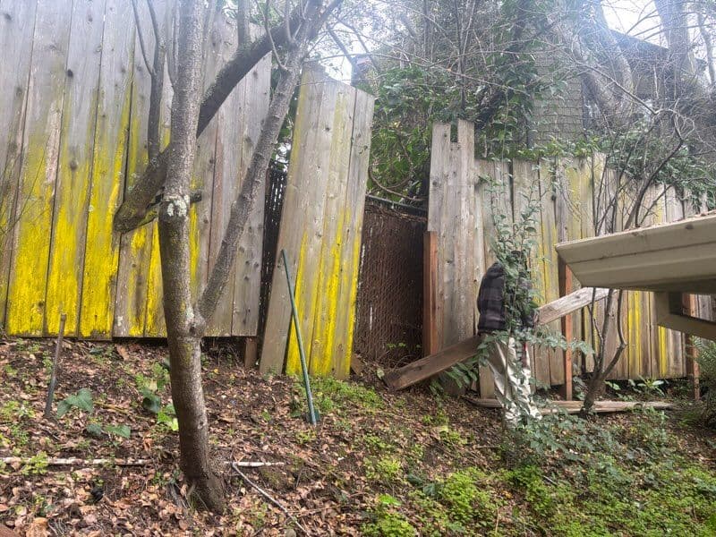 Gallery photos for Fenceline Facelift: Breathing New Life into Your Garden Boundary: Image #3