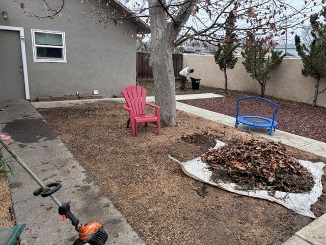 Backyard Leaf Cleanup and Organization