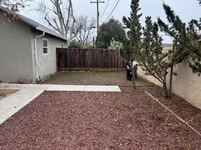 Gallery photos for Backyard Leaf Cleanup and Organization: Image #1