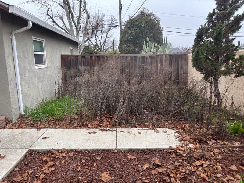 Gallery photos for Backyard Leaf Cleanup and Organization: Image #2