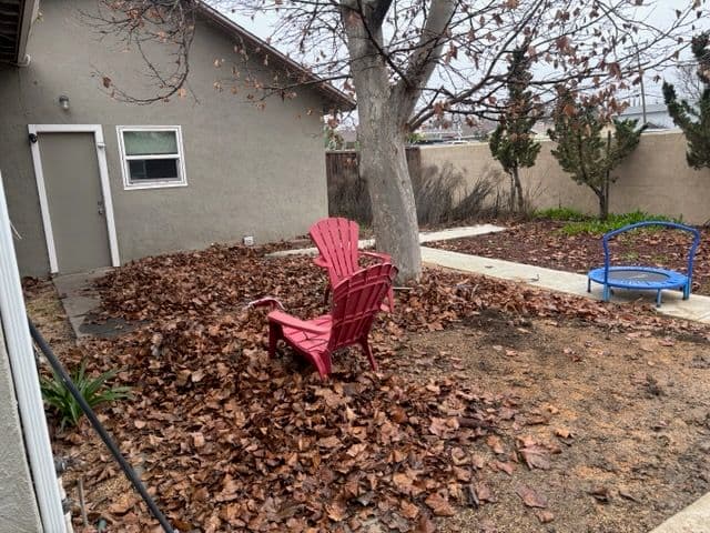 Gallery photos for Backyard Leaf Cleanup and Organization: Image #3