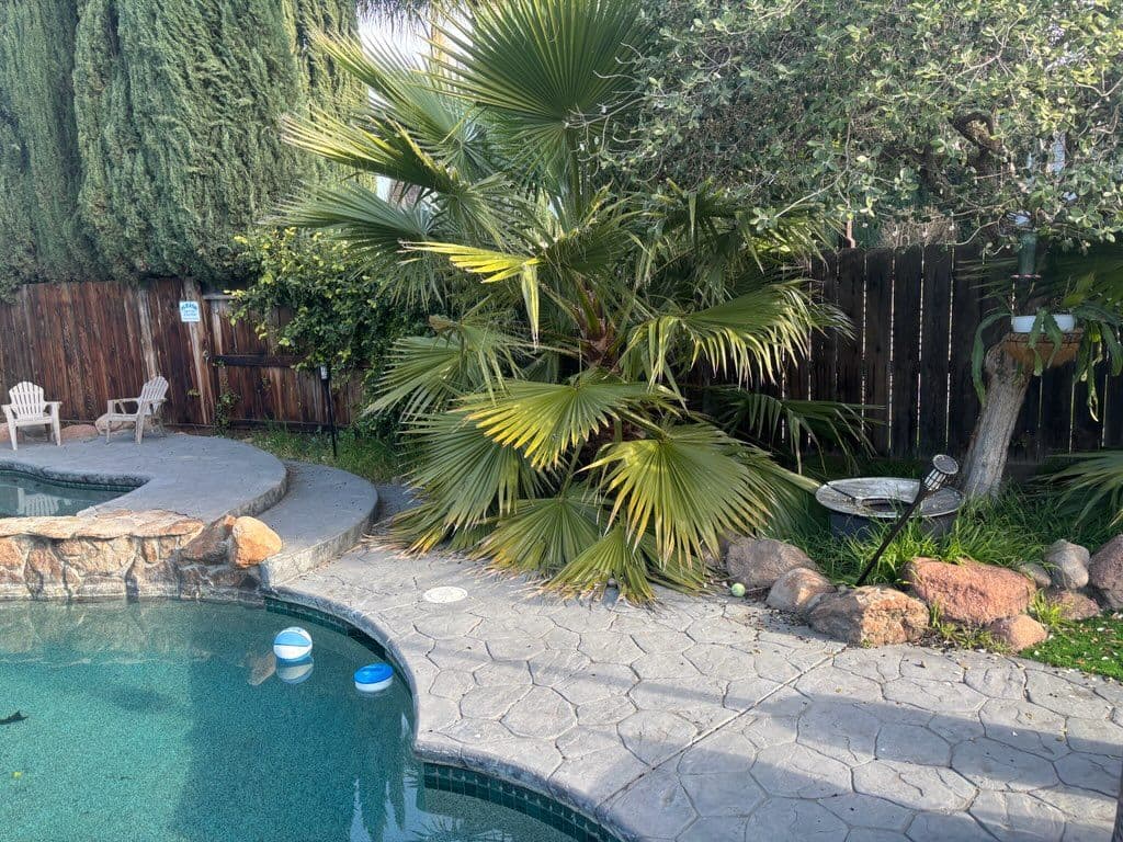 Backyard Makeover with Fisher Garden & Landscaping