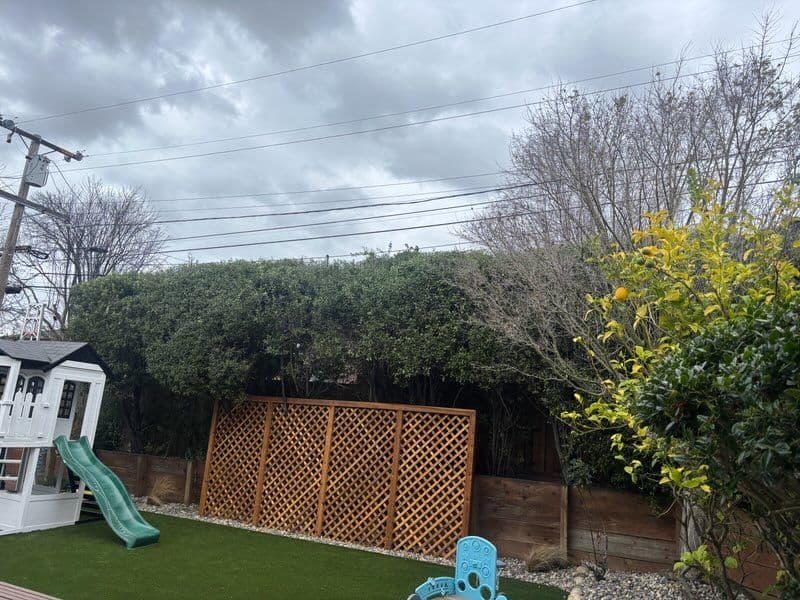 Impressive Hedge Trimming Project