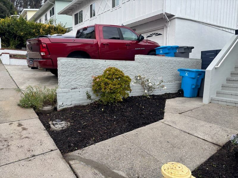 Garden Makeover at Suburban Residence