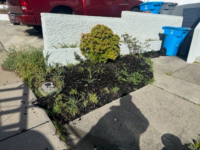 Gallery photos for Garden Makeover at Suburban Residence: Image #1