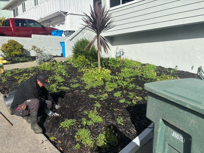 Gallery photos for Garden Makeover at Suburban Residence: Image #2