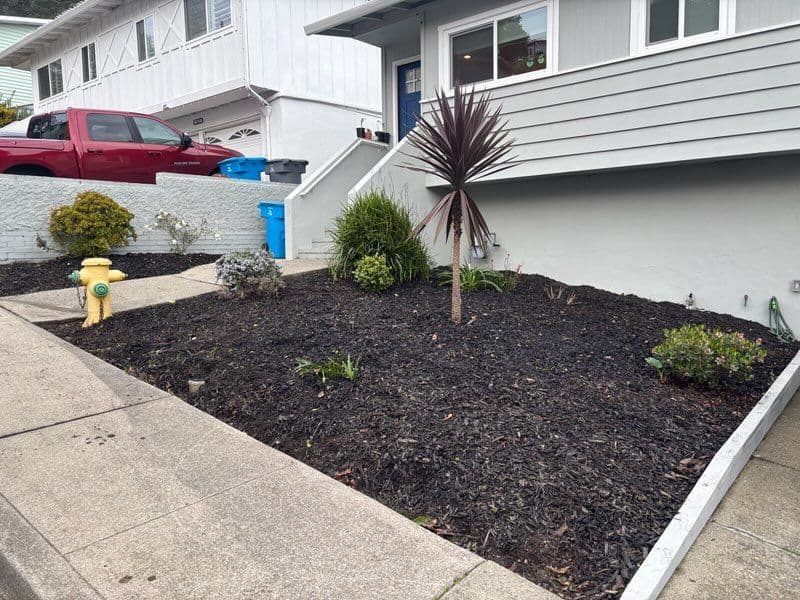 Gallery photos for Garden Makeover at Suburban Residence: Image #3