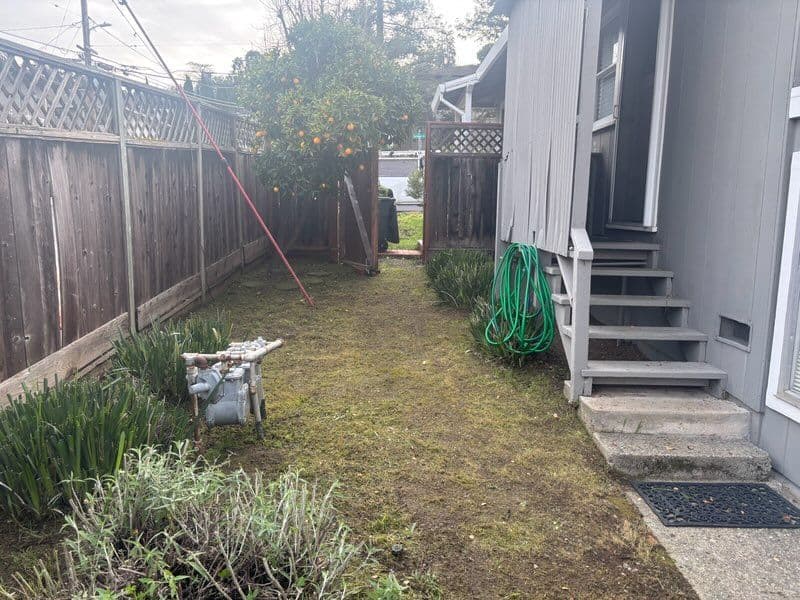 Garden Makeover for a Homeowner