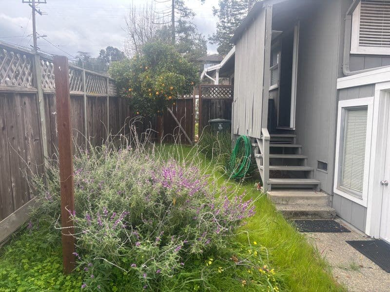 Gallery photos for Garden Makeover for a Homeowner: Image #1