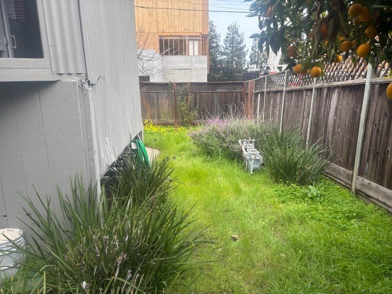 Gallery photos for Garden Makeover for a Homeowner: Image #3