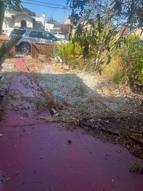 Project Front Yard Transformation Brings San Mateo Charm image