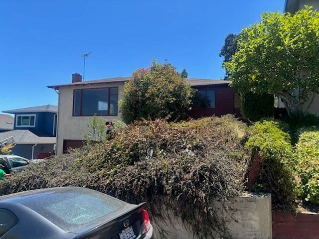 Project San Mateo Landscaping and Retaining Wall Renewal image