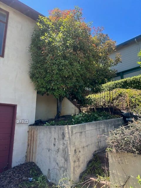 San Mateo Landscaping and Retaining Wall Renewal