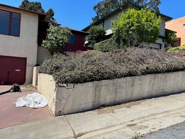 San Mateo Landscaping and Retaining Wall Renewal