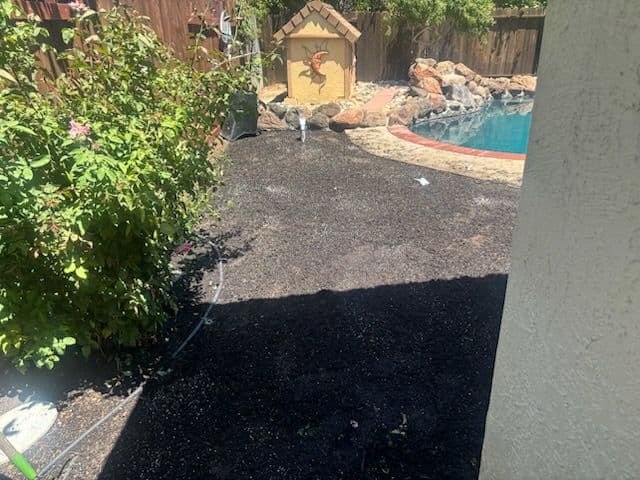 Stunning Poolside Transformation with New Lawn