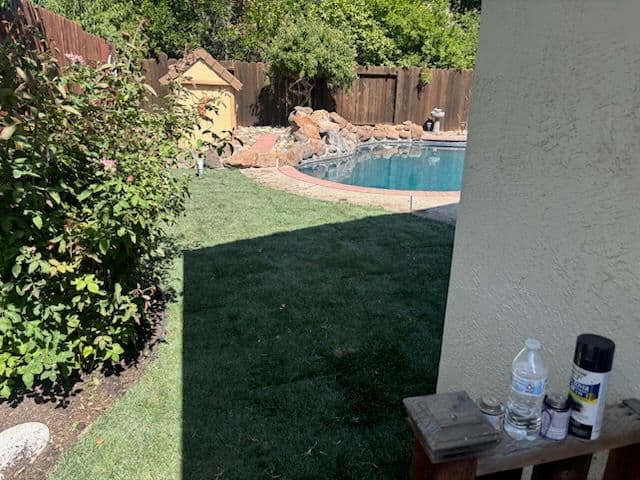 Stunning Poolside Transformation with New Lawn