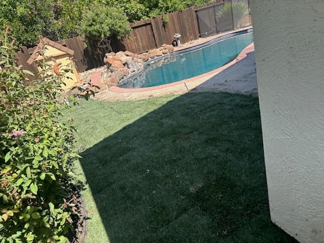 Stunning Poolside Transformation with New Lawn