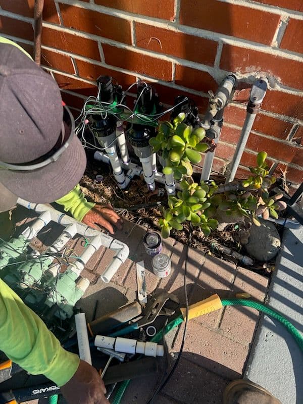 Revitalize Your Garden with Advanced Irrigation