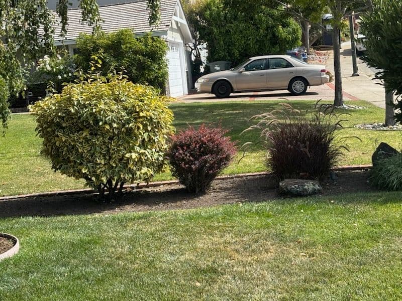 Revitalize Your Garden with Fresh Mulch Magic image