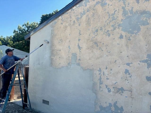 Gallery photos for Transforming Peeling Walls with Fresh Paint: Image #1