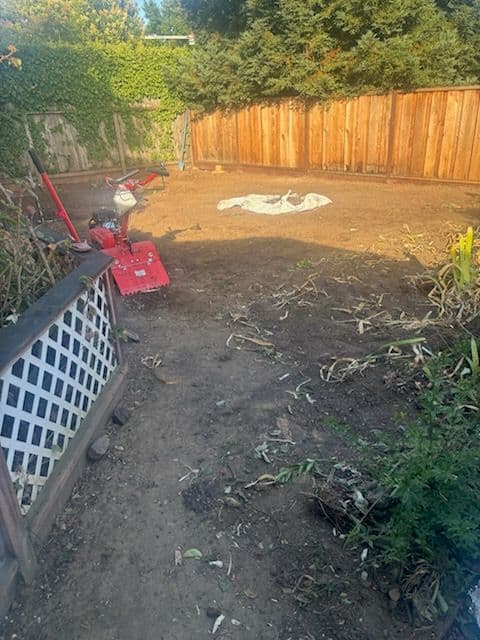 Project Transforming Backyard with New Lawn Installation image