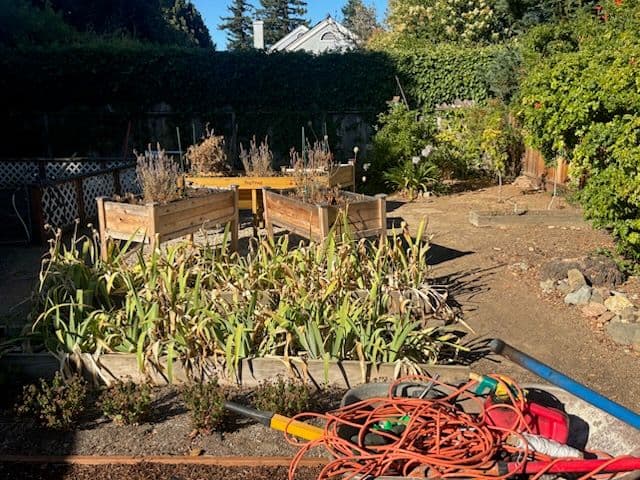 Gallery photos for Transforming Backyard with New Lawn Installation: Image #2