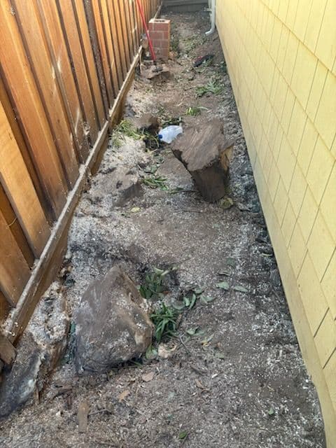 Stump Removal and Garden Refresh Success