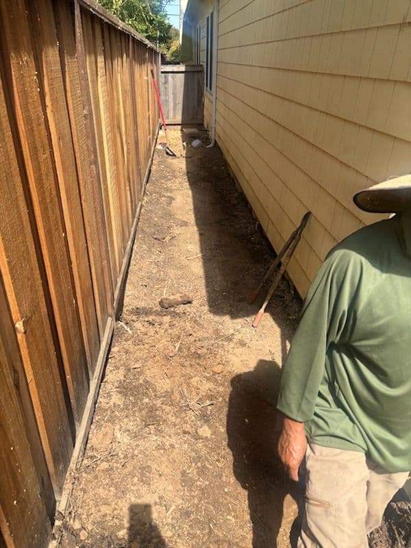 Stump Removal and Garden Refresh Success