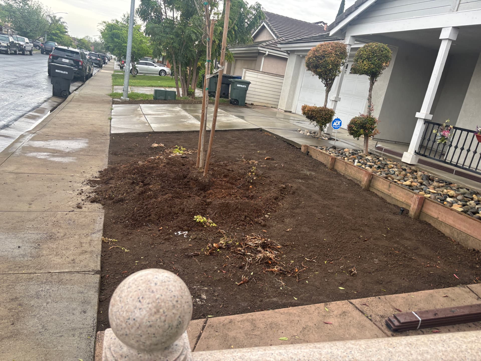 Gallery photos for From Overgrown Mess to Clean Slate Ready for Planting: Image #3