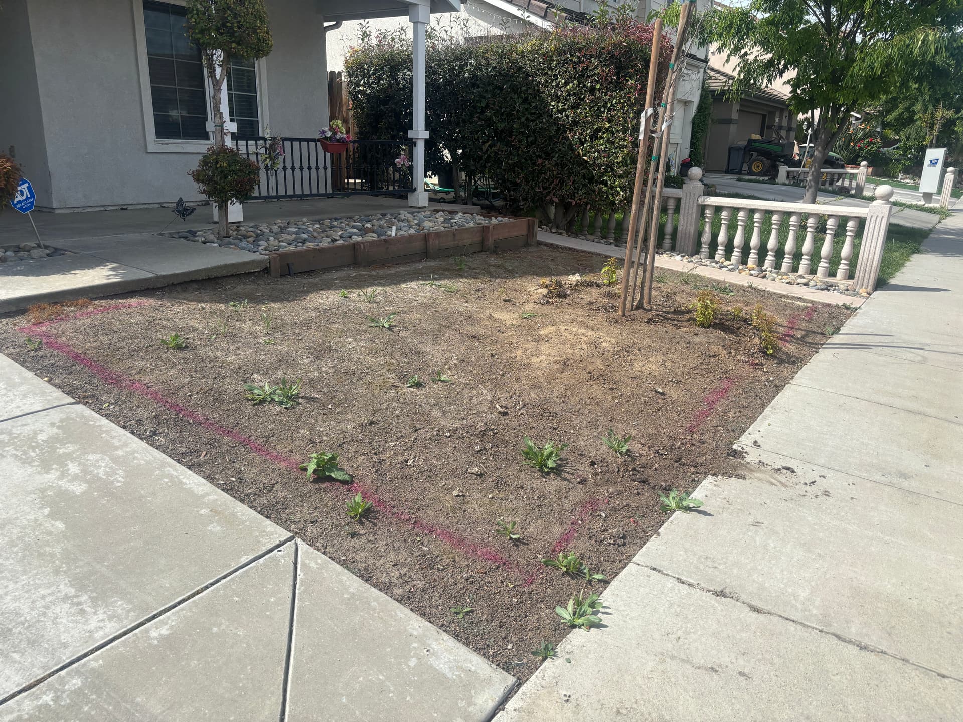 Gallery photos for From Overgrown Mess to Clean Slate Ready for Planting: Image #1