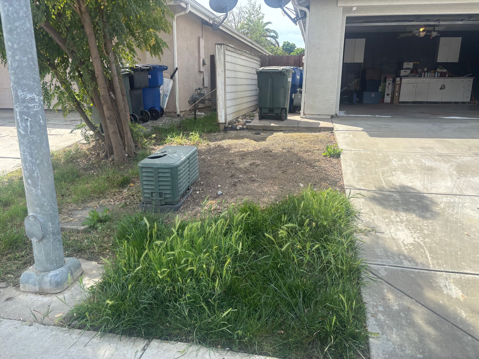 From Overgrown Mess to Clean Slate Ready for Planting image