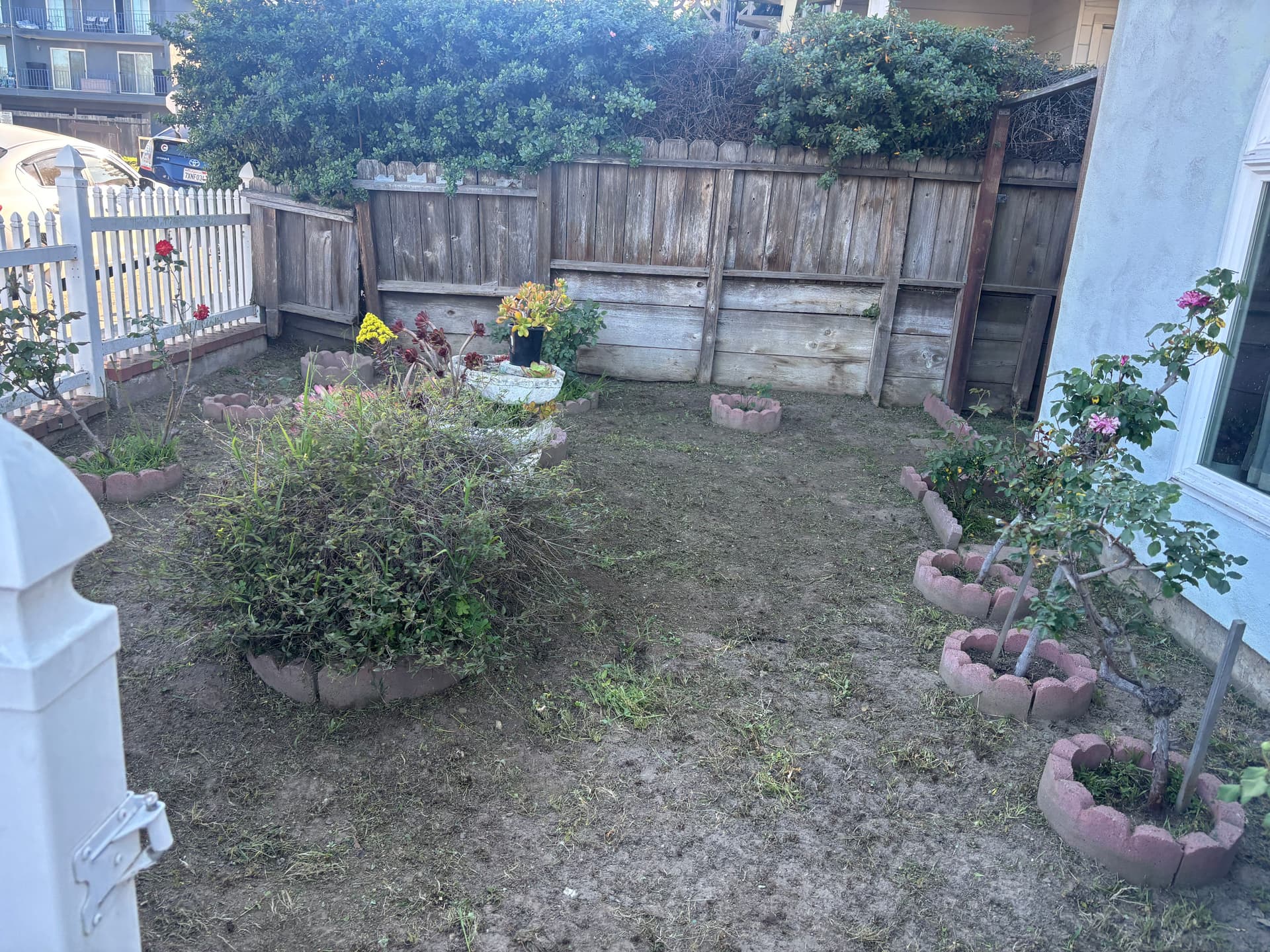 Gallery photos for Garden Makeover - Achieving a Tidy Oasis: Image #2