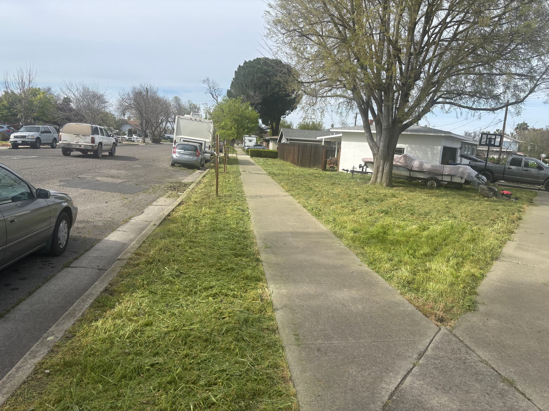 Gallery photos for Lawn Transformation in Your Neighborhood: Image #3