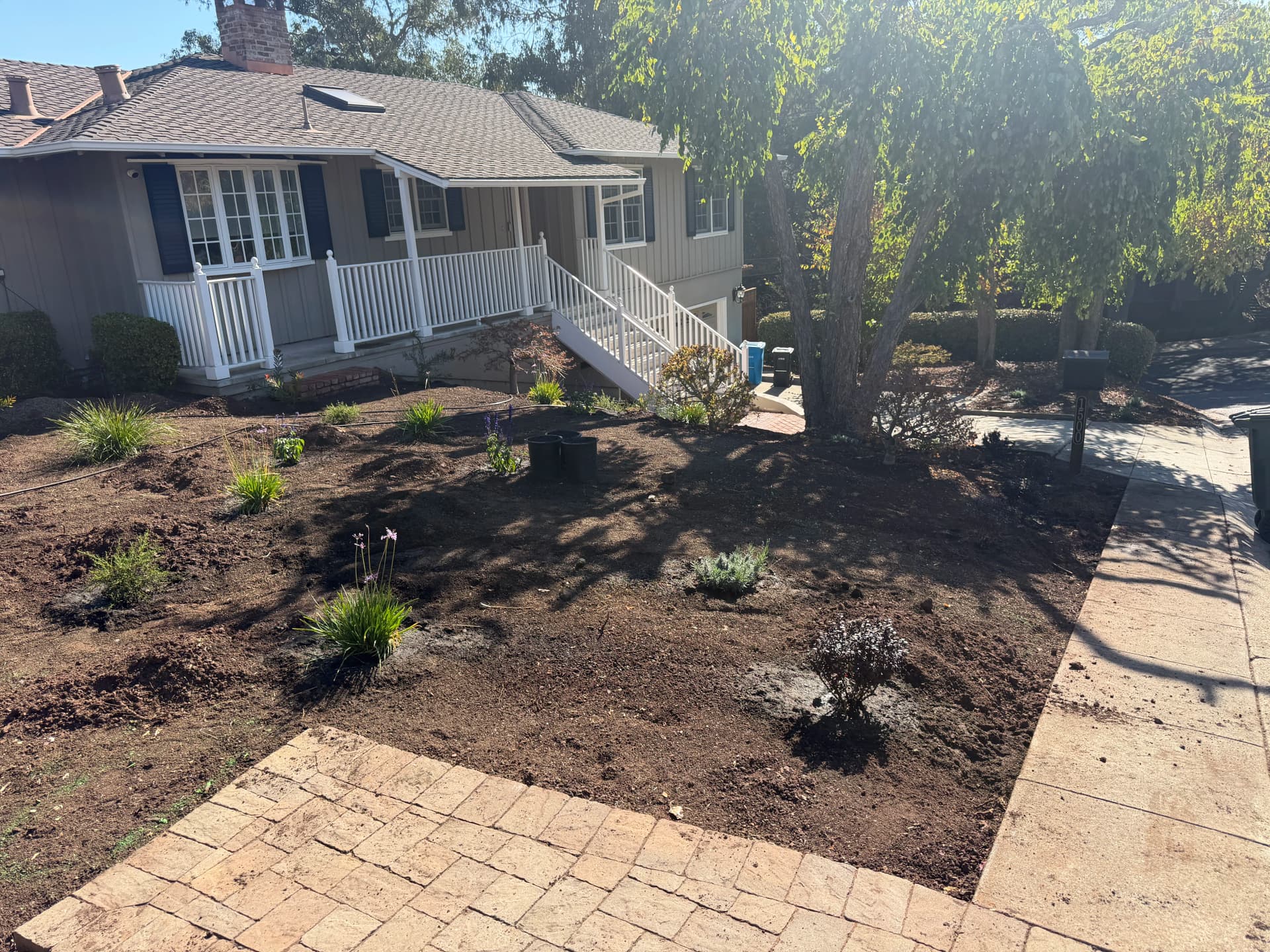 Gallery photos for Front Yard Landscape Refresh In Progress - New Plantings Going In: Image #2