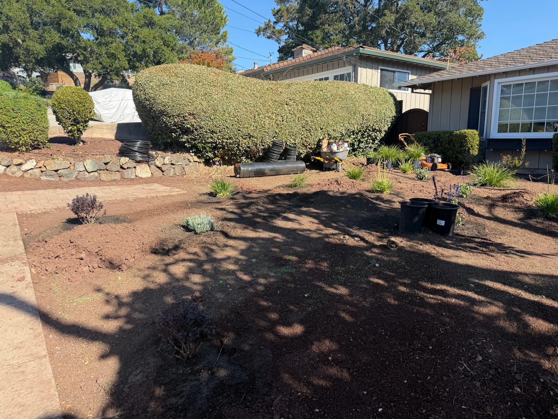 Gallery photos for Front Yard Landscape Refresh In Progress - New Plantings Going In: Image #3