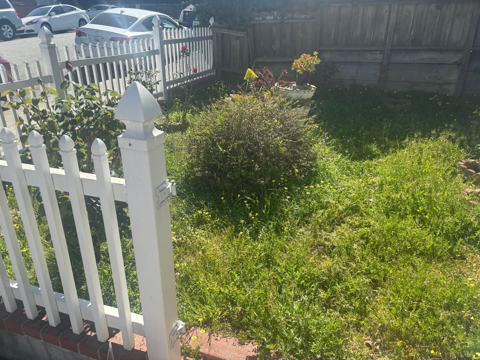 Gallery photos for Garden Makeover - Achieving a Tidy Oasis: Image #1