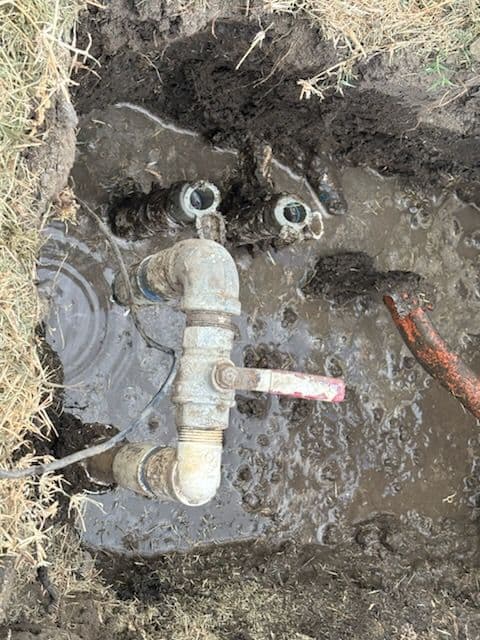 Gallery photos for Revitalizing Irrigation Systems for Optimal Garden Health: Image #3