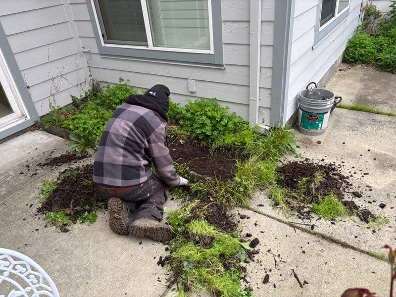 Gallery photos for Garden and Patio Makeover with Fresh Concrete and Mulch: Image #2