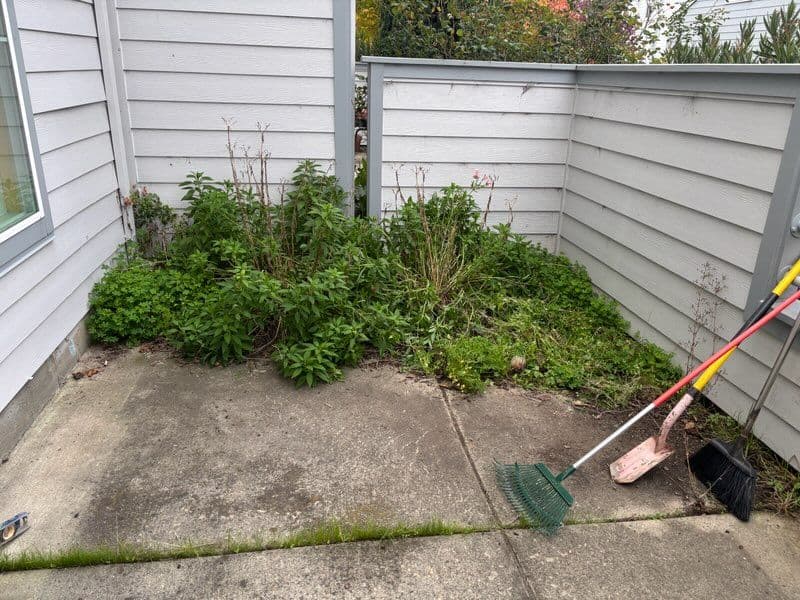 Gallery photos for Garden and Patio Makeover with Fresh Concrete and Mulch: Image #3